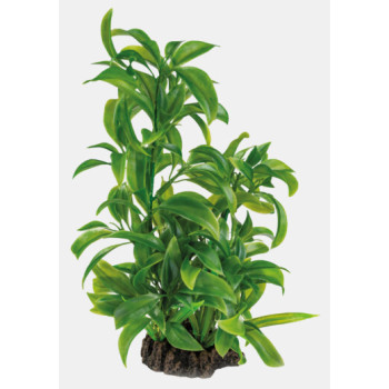 ART PLANT DRACAENA